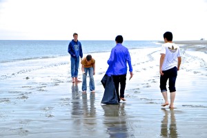 Beach cleanup day