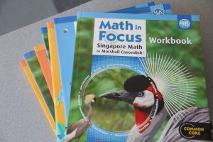 Math in Focus